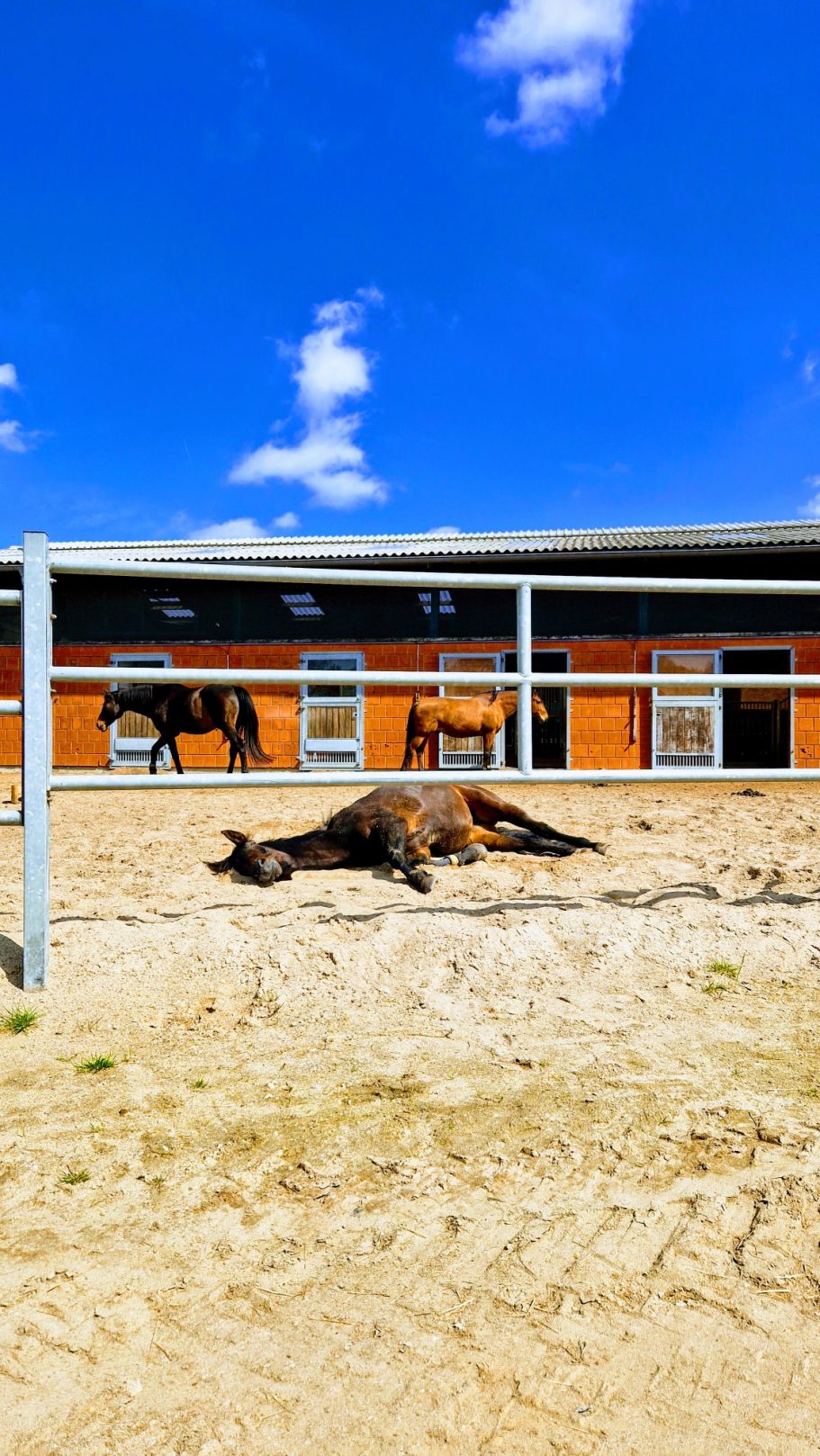 In der Sonne oder im Schatten liegen?